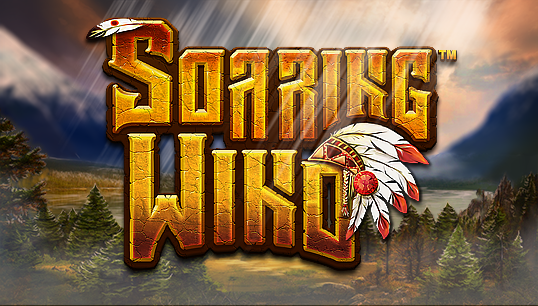 Soaring Wind